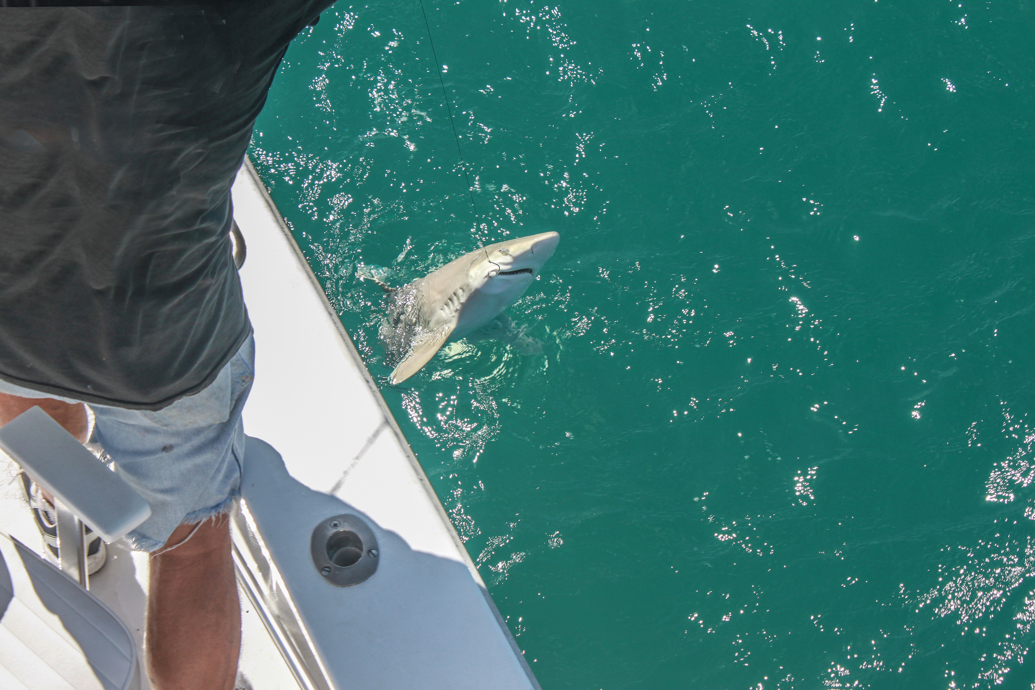 Clean Fishing: A Simple System for a Cleaner Boat & Catch